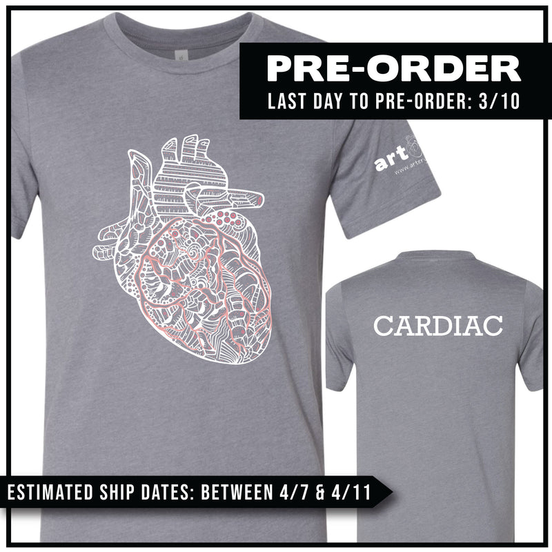 Cardiac / Anatomical Heart / Pre-Order