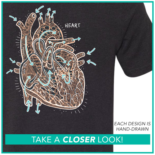 A5 Cardiovascular / Blood Flow Heart / Pre-Order