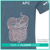 APC / GI Tract & Lungs / Pre-Order