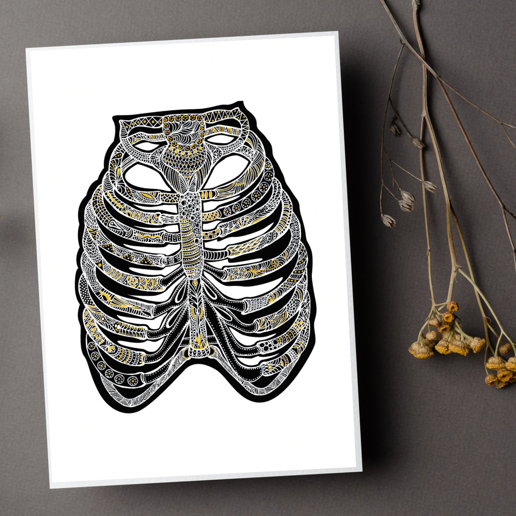 ribs sketch tumblr - Google Search | Rib cage drawing, Human rib cage,  Human anatomy art