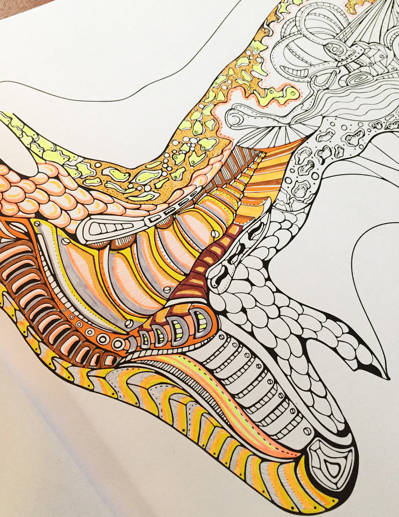 Color Your Day Adult Coloring Book (Variation 2)